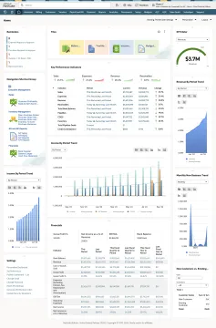 Miniatura NetSuite ERP