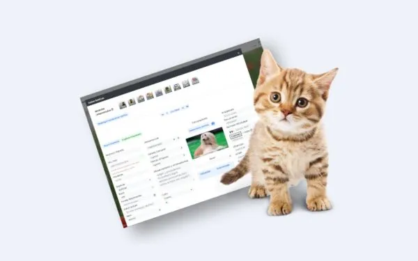 VeteSoft