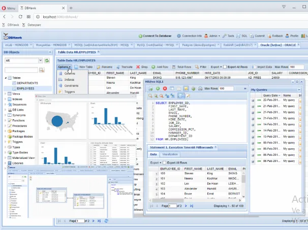 DBHawk Base de Datos