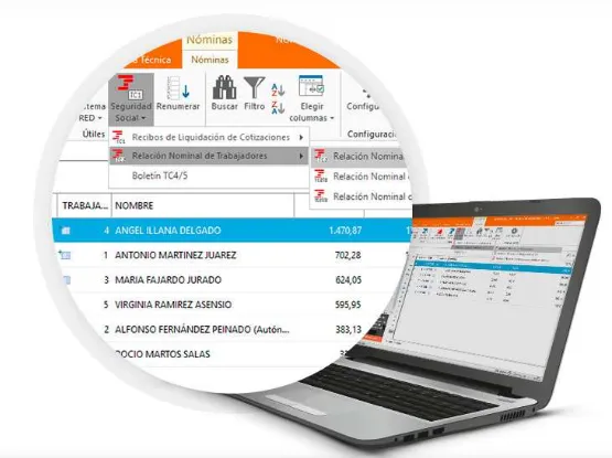 Software DELSOL Nominasol