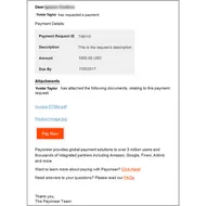 Payoneer logotipo