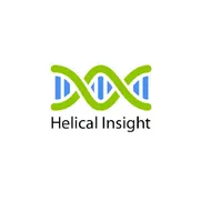 Helical Insight logotipo