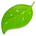 Coda Panic Inc