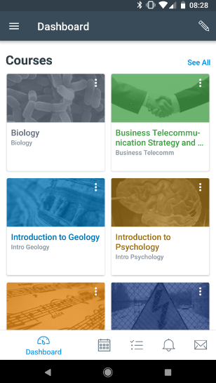 Canvas LMS